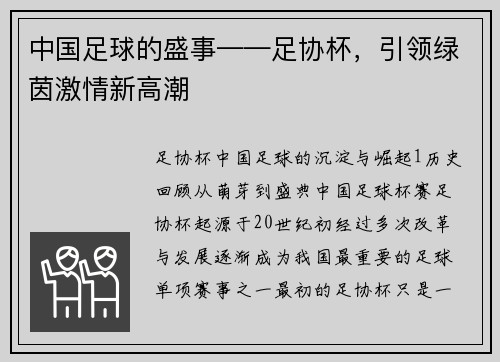 中国足球的盛事——足协杯，引领绿茵激情新高潮