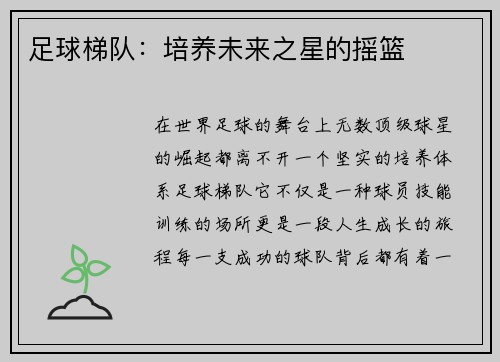 足球梯队：培养未来之星的摇篮
